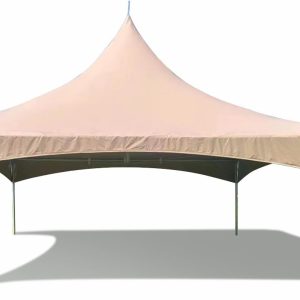 20' x 20' High Peak Frame Style Party Tent, Beige Top, Outdoor Waterproof Canopy Tent for Vendor Booth, Parties, Graduations, Wedding Events, 2.5 Inch Durable Aluminum Frame